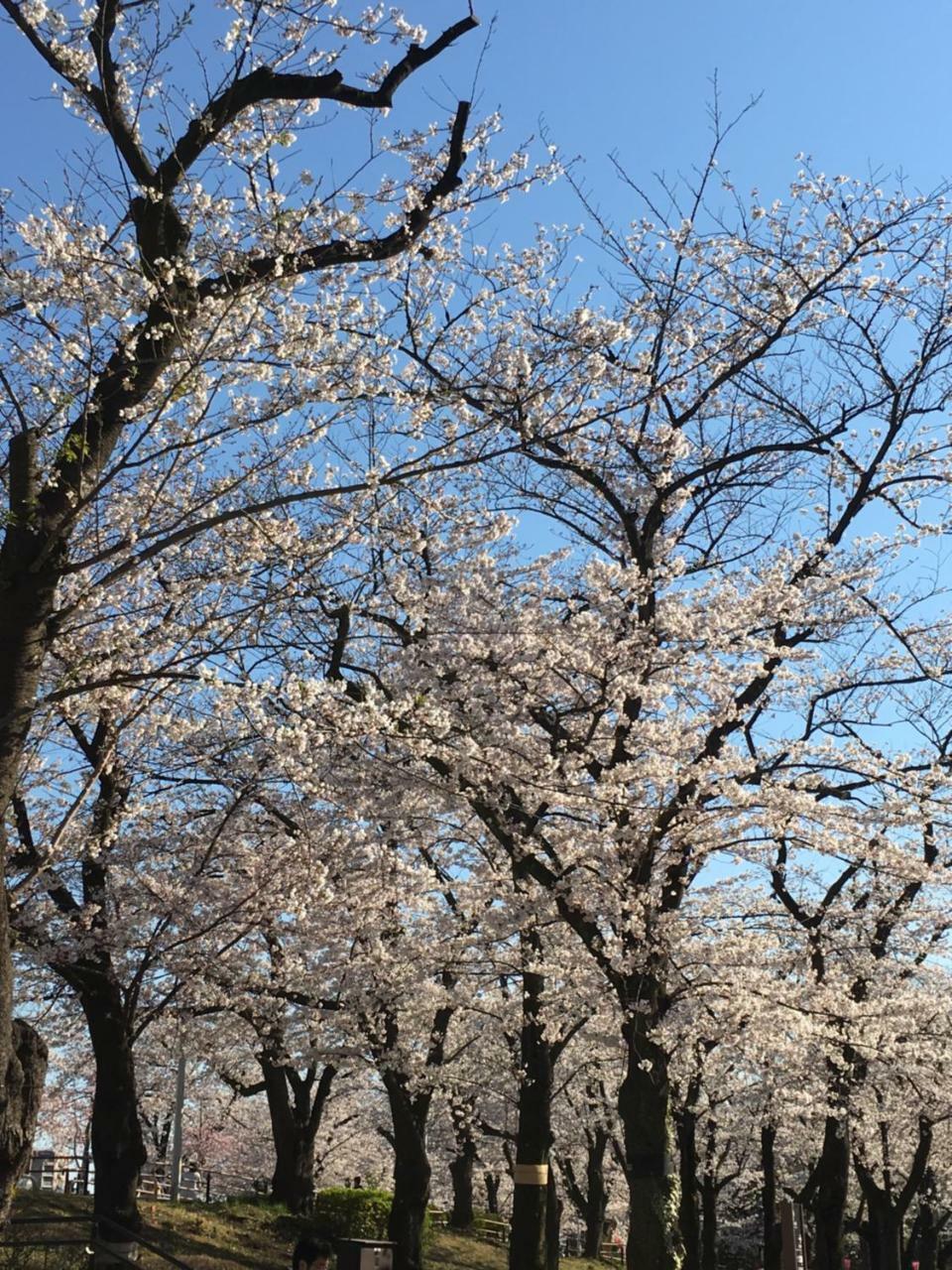 Nakadaya Tōkyō