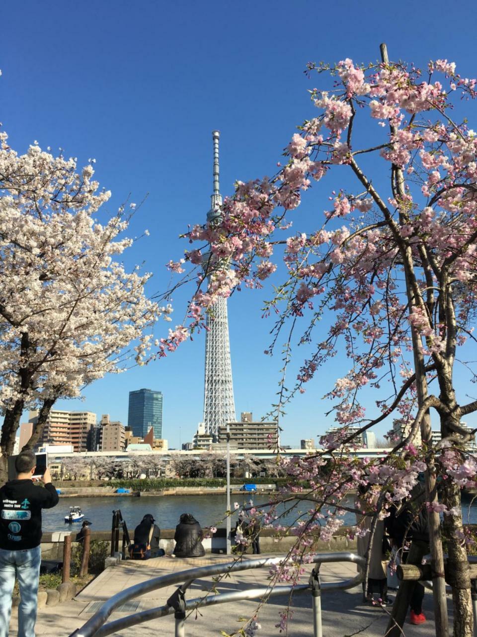 旅館中田屋 旅館 東京都
